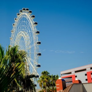 Cheap Orlando Flights